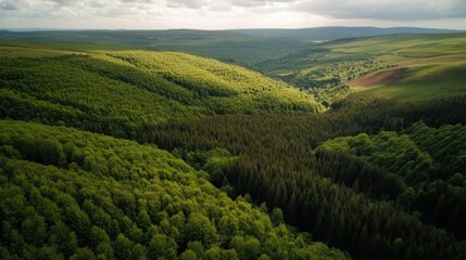 Fototapeta premium Panoramic View of Green Forested Valley with Contrasting Light and Shadows in Hilly Terrain