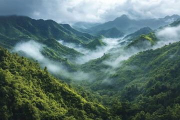 Obraz premium Misty Mountains Lush Green Tropical Rainforest Landscape