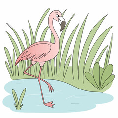 Fototapeta premium A flamingo standing on one leg