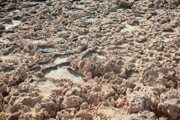 Dry coral surface. Natural geological formation.