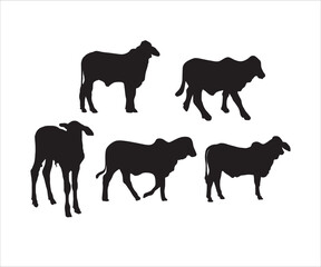 Brahman Calf svg, Brahman Cow svg, Brahman Calves svg, Livestock svg, Cattle svg, Farm Animal Vector, Brahman Cow svg