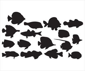 Fishs Vector, Tropical fish set, Fish Species png, Aquarium Fish, Cartoon fish svg, Tropical Fish SVG, sea fishes, Set of fishes png