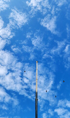 Obraz premium A tall, pointed metal lightning rod stands out against the bright blue sky with the carrion crows in flight