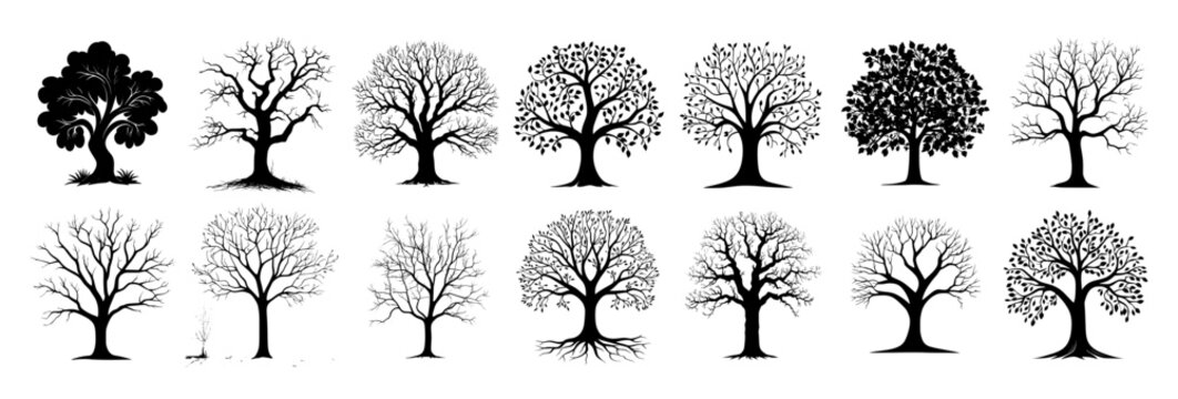 silhouette tree set