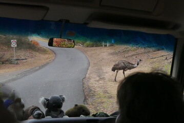 Tower Hill, along the Great Ocean Road, is an extinct volcanic crater with wildlife like koalas, kangaroos, and emus. It offers scenic walks, stunning views, and a unique nature reserve.