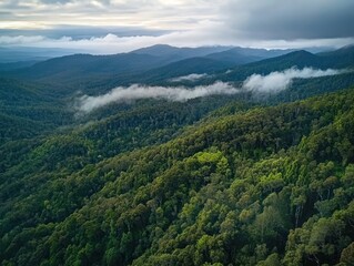 Obraz premium Aerial view of mountain range with cloud cover and green forest landscape