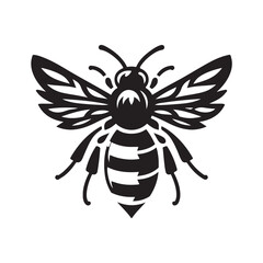 bee, honey, illustration, animal, design, nature, vector, biology, doodle, fly, flying, graphic, hole, image, ink, insect, outline, striped, tattoo, wildlife, wing, back, drawing, engraving, hand-draw