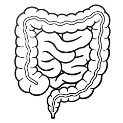 Outline of the human gastrointestinal tract, colon, and digestive tract vector art illustration image clipart icon sign.