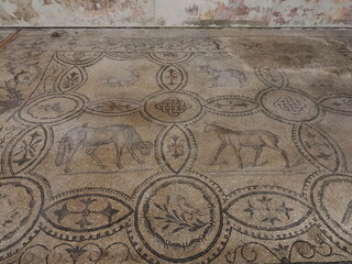 イタリア　アクイレイア　世界遺産　総大司教座聖堂のバシリカ