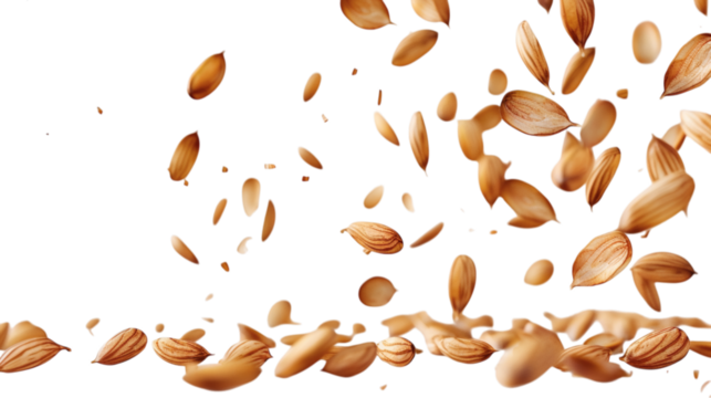 Flying delicious almonds, isolated on white background