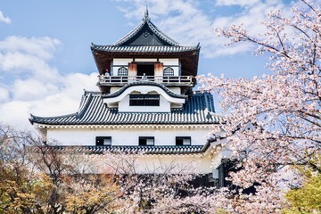 犬山市、国宝犬山城と満開の桜