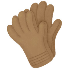 pair of gloves