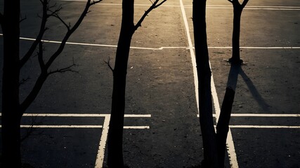 Minimalist pathways or lines branching off in various directions, symbolizing choices, journeys, and possibilities.