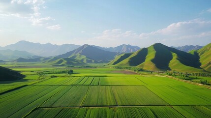 Obraz premium Lush green fields nestled against a backdrop of majestic mountains under a clear sky