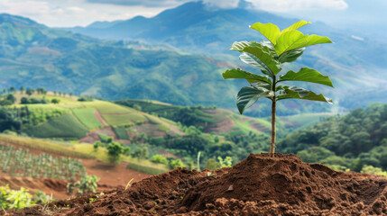 Obraz premium young plant grows in rich soil against backdrop of lush mountains and fields, symbolizing hope and renewal in nature