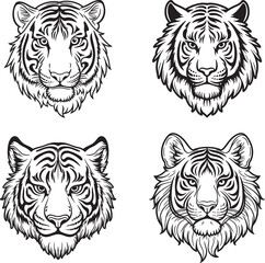 Tiger head line art vector on white background.