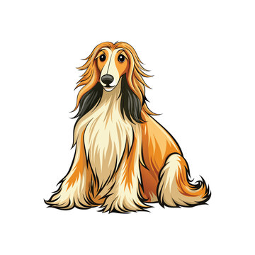 recommend clip art: Afghan Hound 