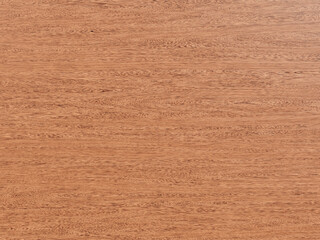 Detailed Timber Texture Background