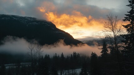Obraz premium A vibrant sunrise over a forested mountain slope with layers of mist.