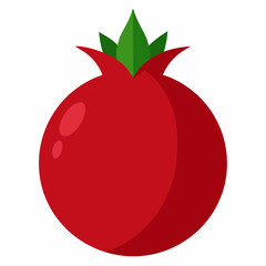  Pomegranate vector on white background