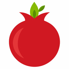  Pomegranate vector on white background