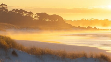 Fototapeta premium Morning sun creating a golden reflection on a quiet lagoon surrounded by dunes.