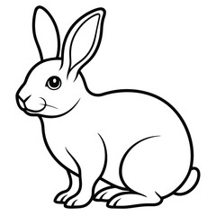 white rabbit on white