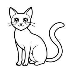 Obraz premium black and white cat