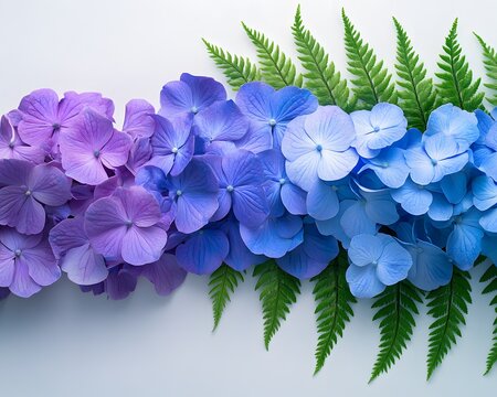 Beautiful arrangement of pastel blue and purple hydrangea flowers with ferns on a white surface