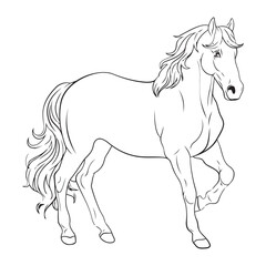Horse vector