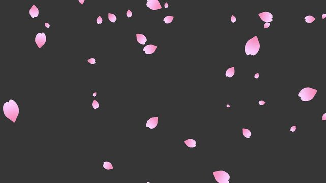 落ちてくる桜の花びら背景 Background with cherry blossom animation