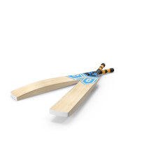 Cricket ball with cricket bat 3D rendering isolated on transparent background