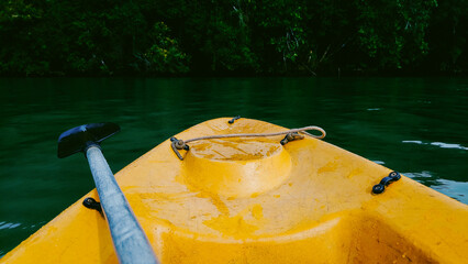 Kayak on the emerald water of the tropical forest, Dandeli, India.