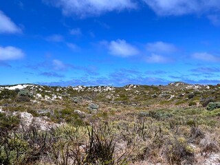 
Rottnest Island, near Perth, offers crystal-clear waters perfect for swimming, snorkeling, and diving. Its pristine beaches, marine life, and friendly quokkas make it a paradise for visitors.