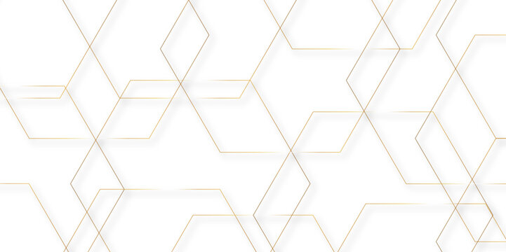 Abstract background wave line elegant white striped diagonal line technology concept web texture, luxury White  gold hvector tiles gradient science web tech connection exagonal Pattern.