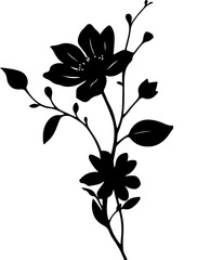 black and white flowers