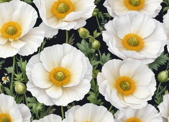 Obraz premium Elegant watercolor clipart of white poppy flowers with yellow centers, white, isolated, elegant, watercolor