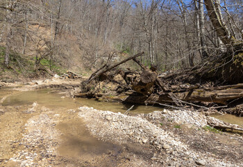 sunny day, nature park, river bottom, walk along the riverbank with an overview of the bottom structure