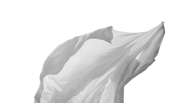 White flag waving, silk on transparent background