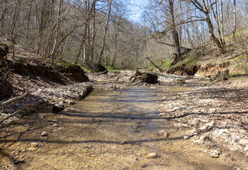 sunny day, nature park, river bottom, walk along the riverbank with an overview of the bottom structure