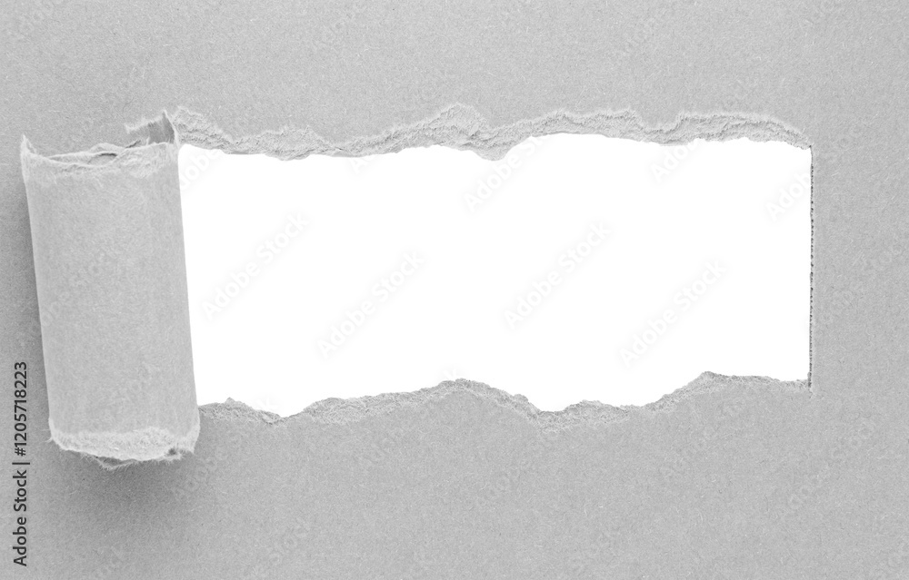 Poster grey gray torn curled paper or cardboard message backdrop with rough edges and blank copy space for 