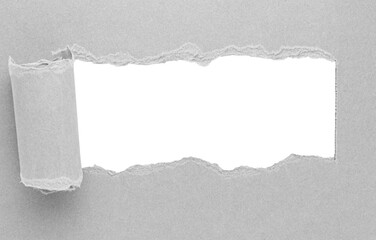 Grey gray torn curled paper or cardboard message backdrop with rough edges and blank copy space for text in the middle, png template on transparent background design element
