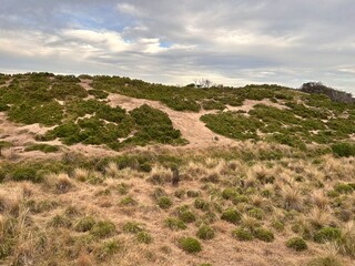 The Philip Island Penguin Parade, located in Victoria, Australia, is a famous wildlife experience where visitors watch little penguins return to their burrows at sunset.
