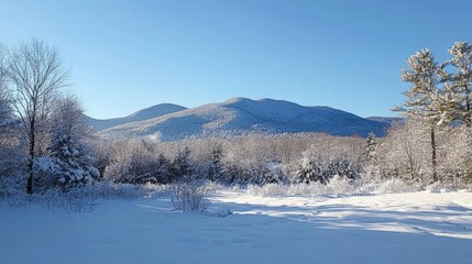 Snow Covered Mountains & Trees on a Sunny Winter Day Landscape