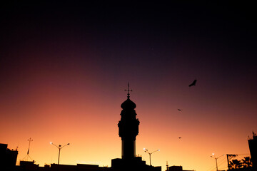 O Mercado Ver-o-Peso ou Mercado Municipal Bolonha de Peixe ou Mercado de Ferro ou somente Ver-o-Peso, é um mercado público, feira-livre.