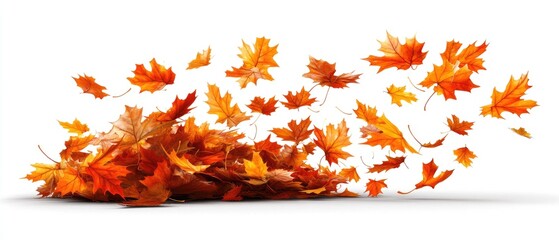 Autumn Leaves Falling and Piled High