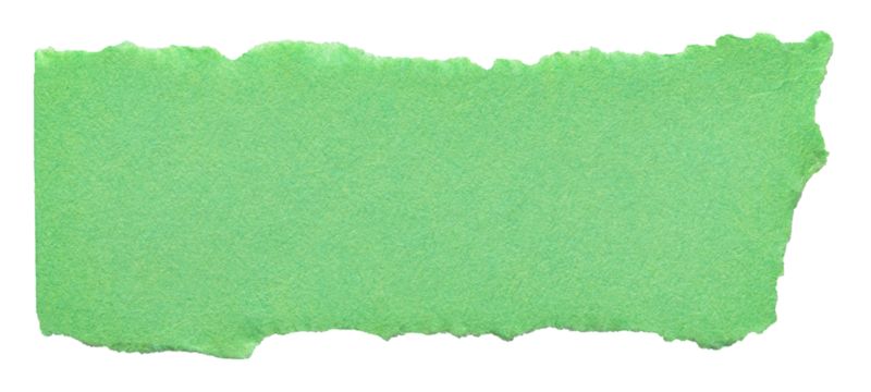 Green isolated cut out torn piece of blank paper note cardboard with texture and copy space for text, transparent png background design element