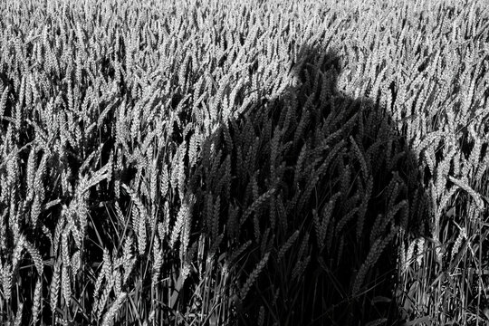 Der Schatten eilt voraus