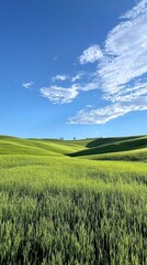 Obraz premium Vibrant green fields under a clear blue sky, presenting a serene natural landscape.