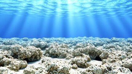 Obraz premium under deep sea concept. Underwater scene with coral reef and sunlight filtering through water.
